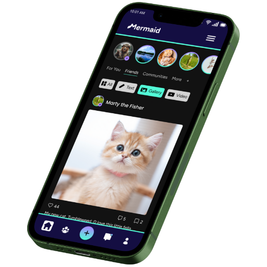 Mermaid App Mockup